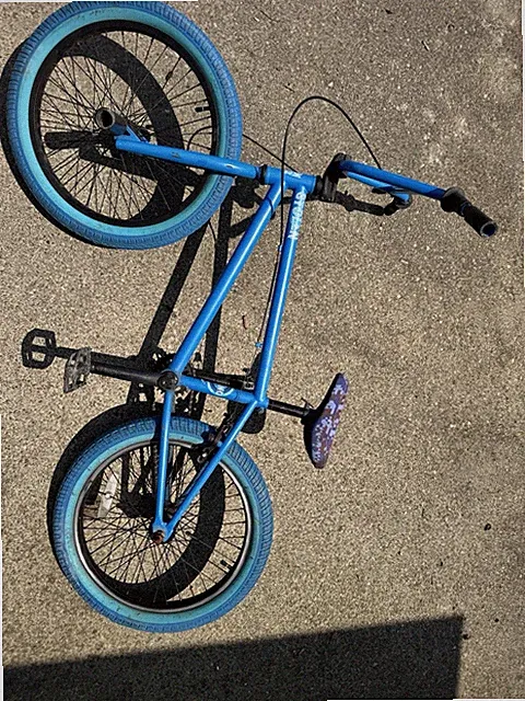 Peg Included Adult
